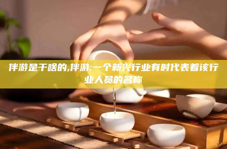 张北伴游是干啥的,伴游:一个新兴行业有时代表着该行业人员的名称