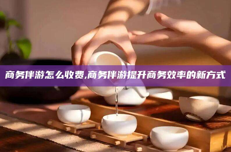 张北商务伴游怎么收费,商务伴游提升商务效率的新方式