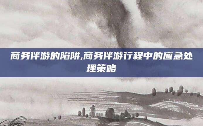 张北商务伴游的陷阱,商务伴游行程中的应急处理策略